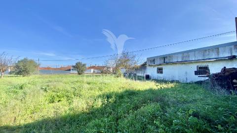 Terreno urbanizável (índice construção 30%) a 5 minutos rio maior