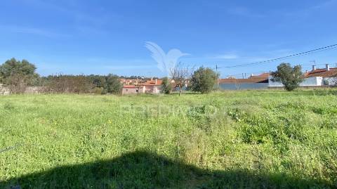 Terreno urbanizável (índice construção 30%) a 5 minutos rio maior