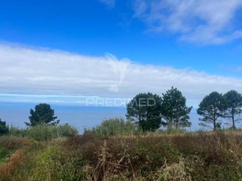 Moradia para recuperar na calheta-prazeres com 1.250m2 de terreno