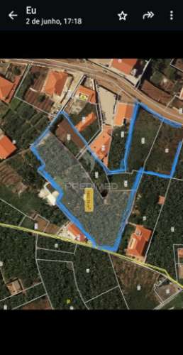 Moradia para recuperar na calheta-prazeres com 1.250m2 de terreno