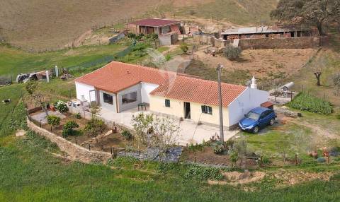 Quinta com 7,500 ha em são martinho das amoreiras