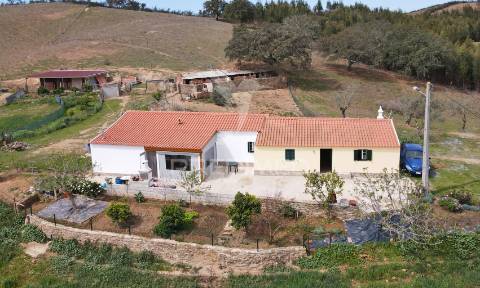 Quinta com 7,500 ha em são martinho das amoreiras