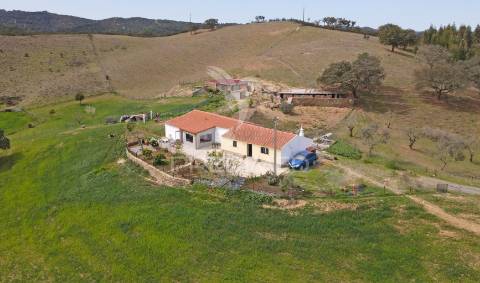 Quinta com 7,500 ha em são martinho das amoreiras