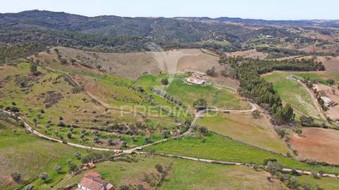 Quinta com 7,500 ha em são martinho das amoreiras