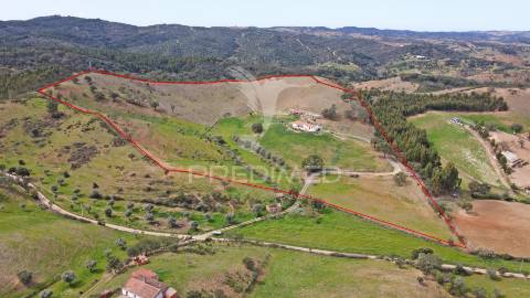 Quinta com 7,500 ha em são martinho das amoreiras