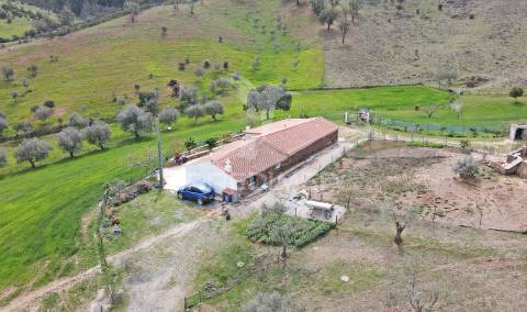 Quinta com 7,500 ha em são martinho das amoreiras