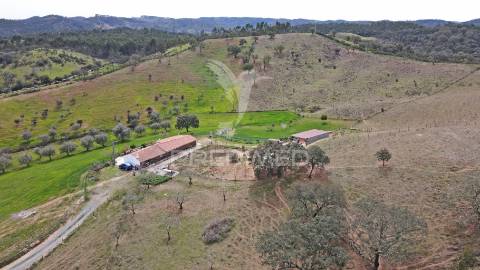 Quinta com 7,500 ha em são martinho das amoreiras