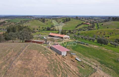 Quinta com 7,500 ha em são martinho das amoreiras