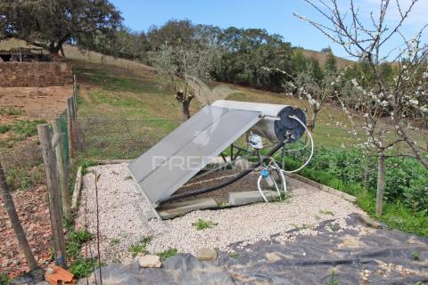 Quinta com 7,500 ha em são martinho das amoreiras