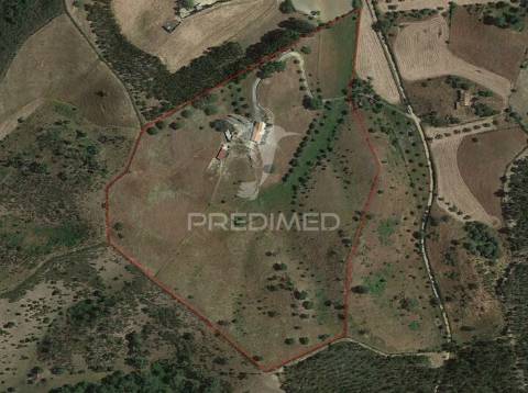 Quinta com 7,500 ha em são martinho das amoreiras