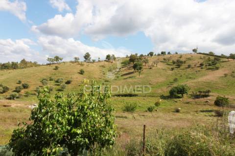 Quinta com 7,500 ha em são martinho das amoreiras
