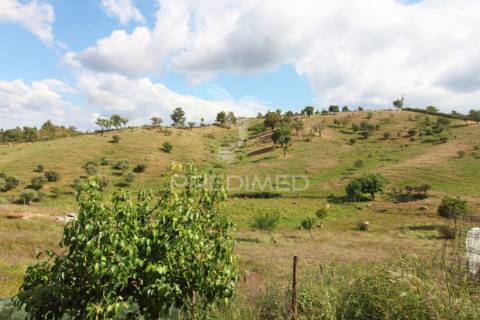 Quinta com 7,500 ha em são martinho das amoreiras