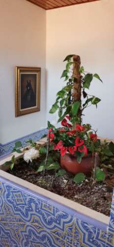 Hotel de 3 estrelas alter do chão