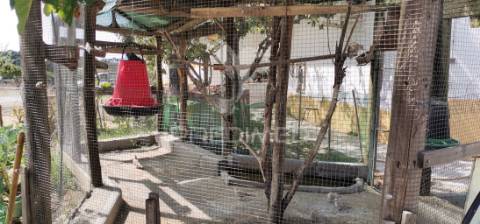 Hotel de 3 estrelas alter do chão