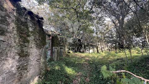 Casa rústica (600m2) - turiz, vila verde