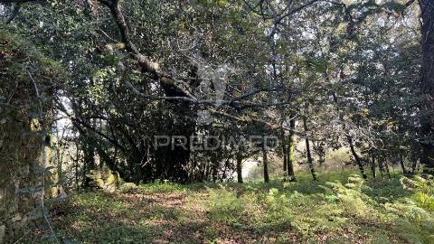 Casa rústica (600m2) - turiz, vila verde