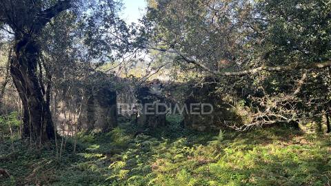 Casa rústica (600m2) - turiz, vila verde