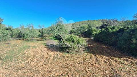 Terreno rustico em loulé com acesso directo da estrada
