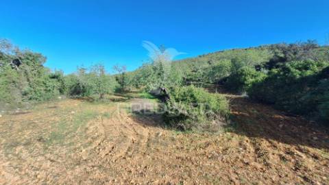 Terreno rustico em loulé com acesso directo da estrada