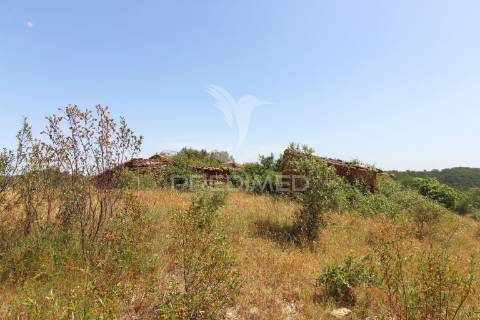 Quinta com 2,3000 ha e ruinas com 72 m2 a 11 km de odemira