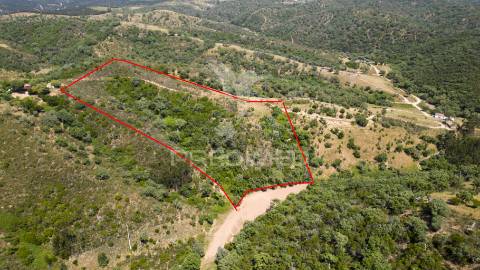 Quinta com 2,3000 ha e ruinas com 72 m2 a 11 km de odemira