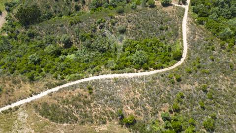 Quinta com 2,3000 ha e ruinas com 72 m2 a 11 km de odemira