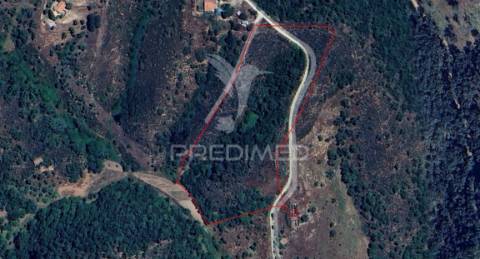 Quinta com 2,3000 ha e ruinas com 72 m2 a 11 km de odemira