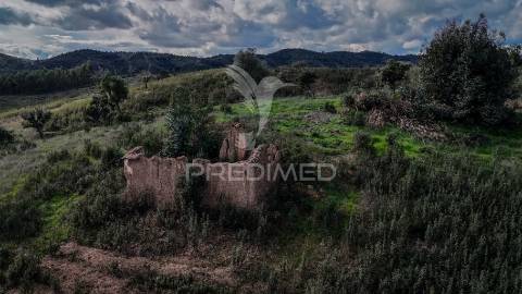 Quinta com projeto em aprovação