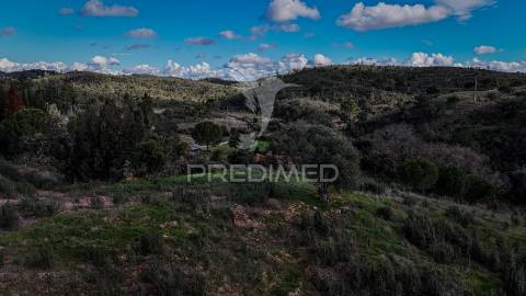 Quinta com projeto em aprovação