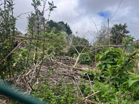 2 moradias na raposeira-calheta com 790m2 de terreno