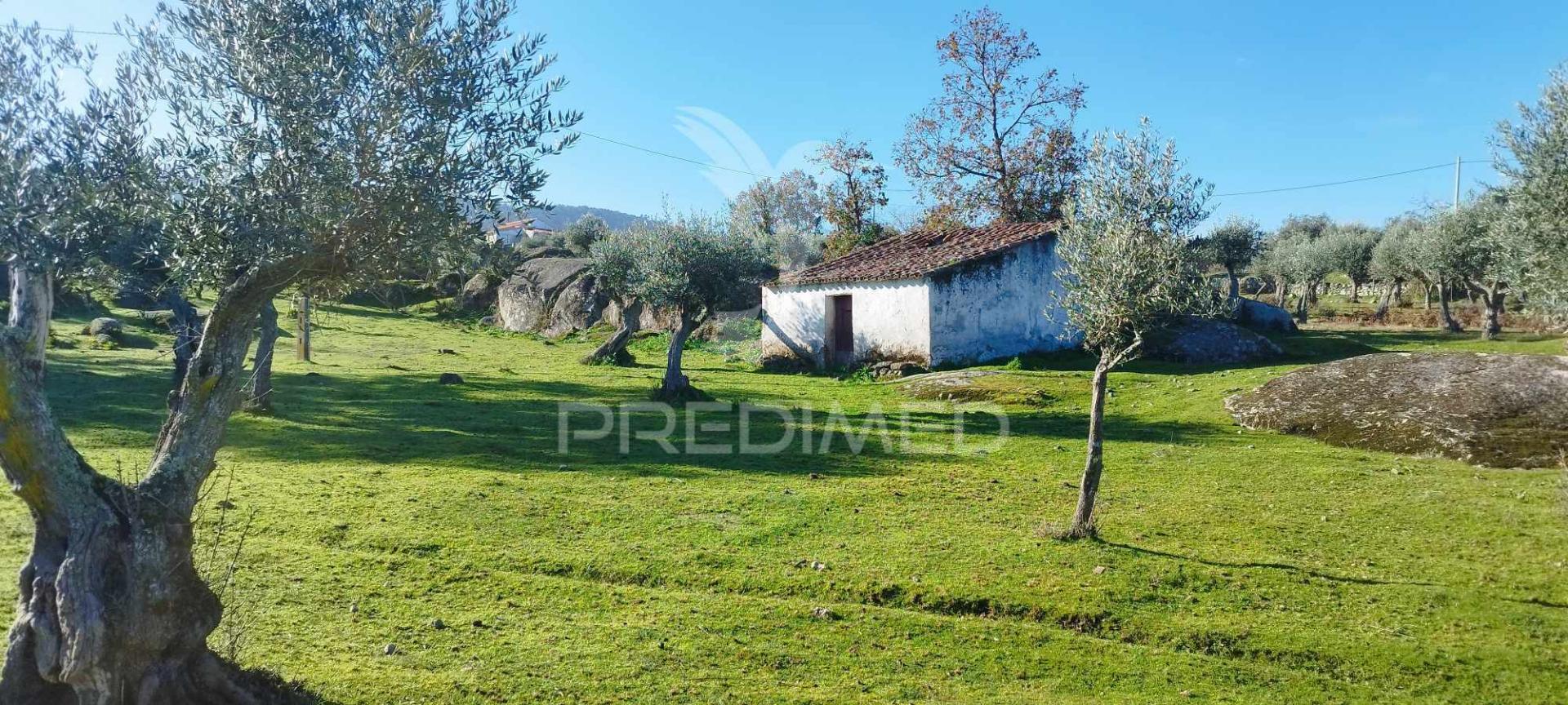 Quinta rural