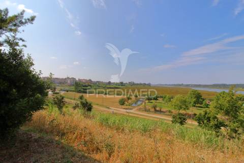 Bar/cafetaria com esplanada no centro de vagos