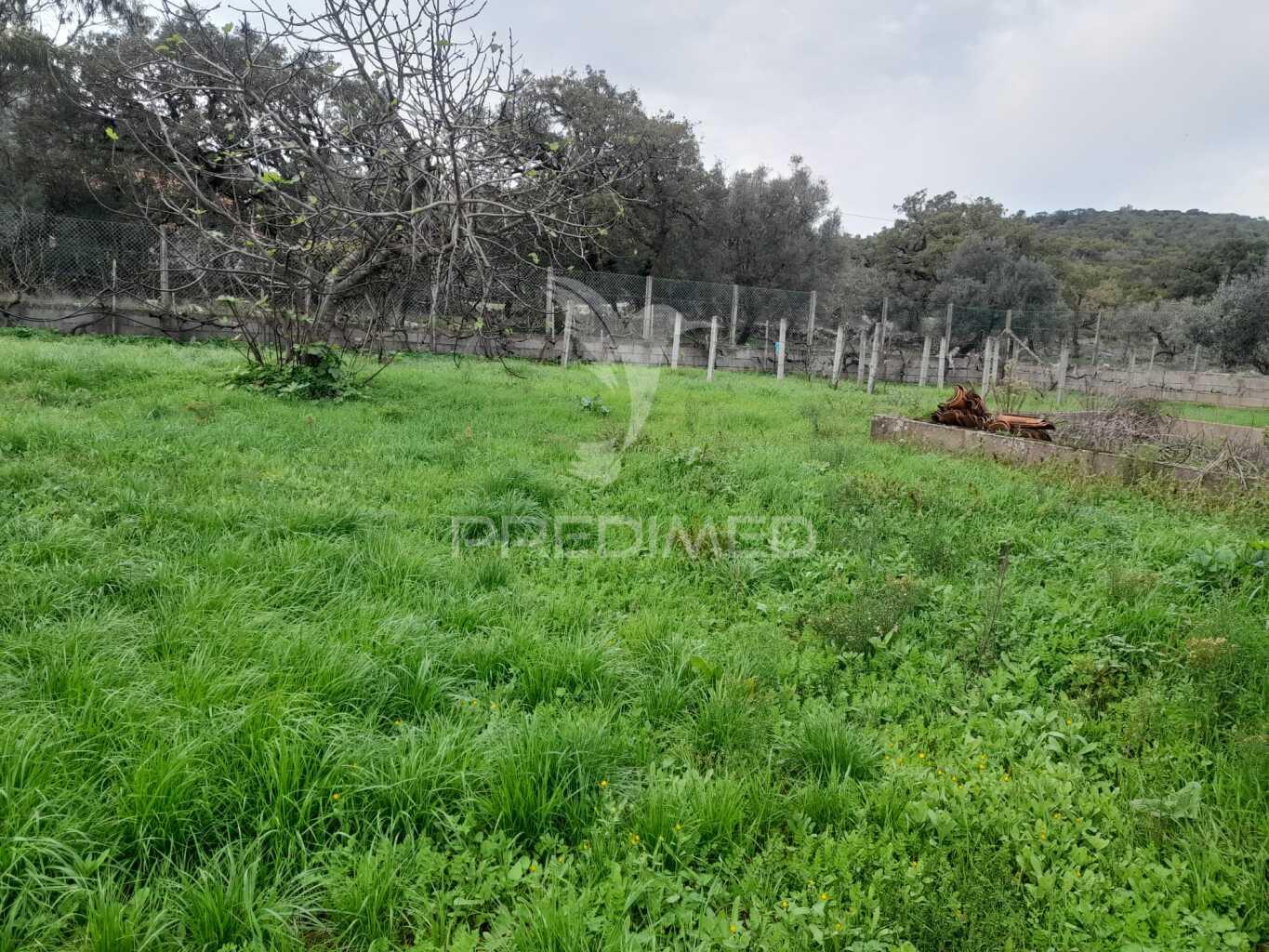 Moradia térrea t5 para reconstruir em valverde - alcanede