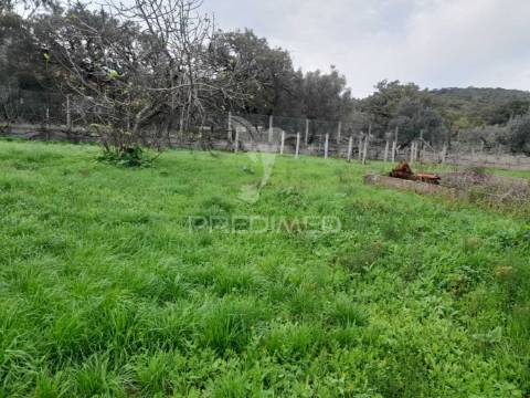 Moradia térrea t5 para reconstruir em valverde - alcanede