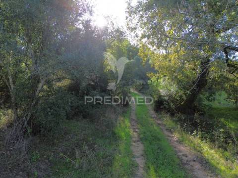 Terreno rústico de 9.680 m² em arneiro das milhariças