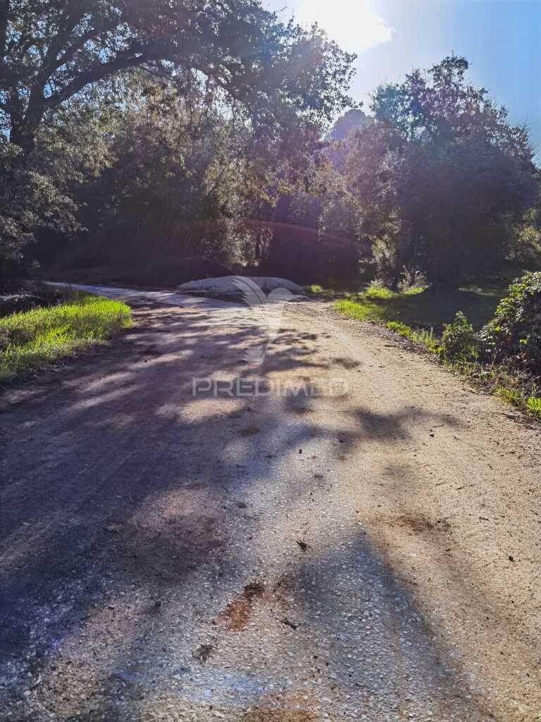Terreno rústico de 9.680 m² em arneiro das milhariças
