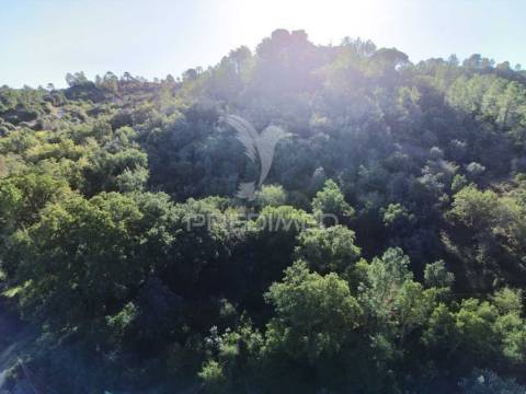 Terreno rústico de 9.680 m² em arneiro das milhariças