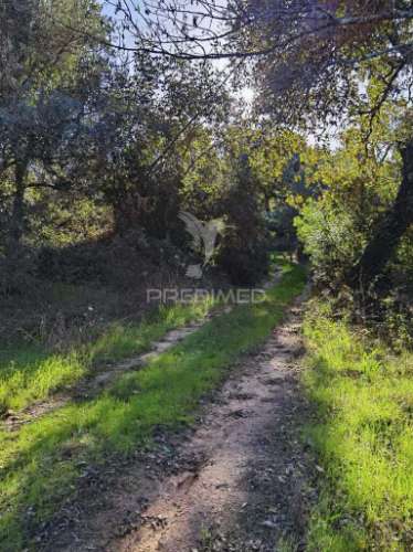 Terreno rústico de 9.680 m² em arneiro das milhariças