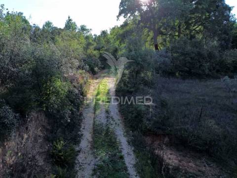Terreno rústico de 9.680 m² em arneiro das milhariças
