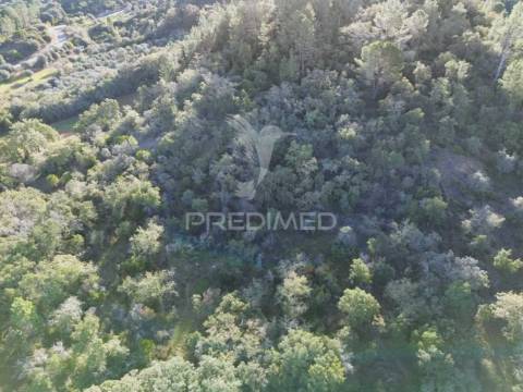 Terreno rústico de 9.680 m² em arneiro das milhariças