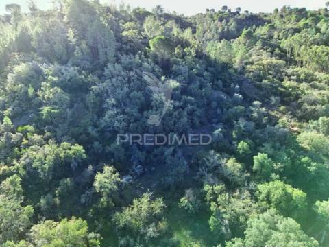 Terreno rústico de 9.680 m² em arneiro das milhariças
