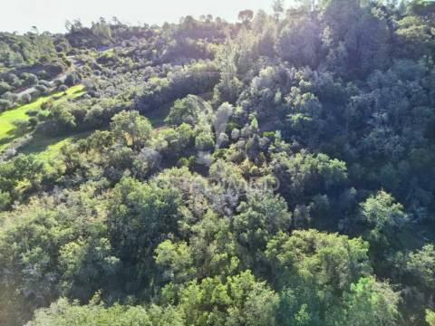 Terreno rústico de 9.680 m² em arneiro das milhariças