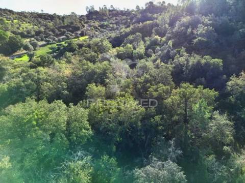 Terreno rústico de 9.680 m² em arneiro das milhariças