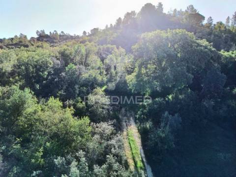 Terreno rústico de 9.680 m² em arneiro das milhariças