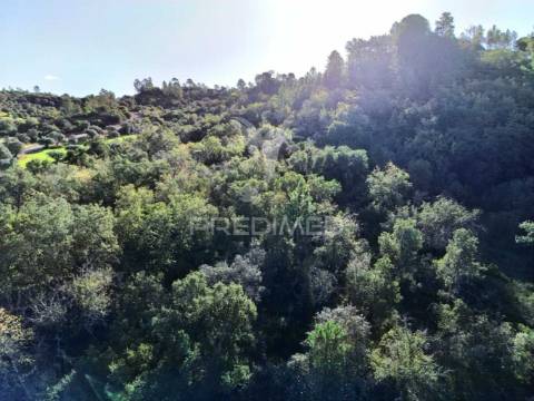 Terreno rústico de 9.680 m² em arneiro das milhariças