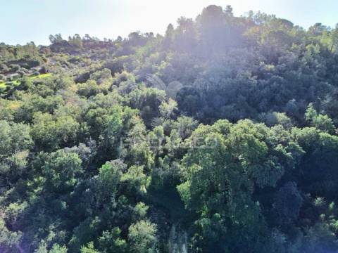 Terreno rústico de 9.680 m² em arneiro das milhariças