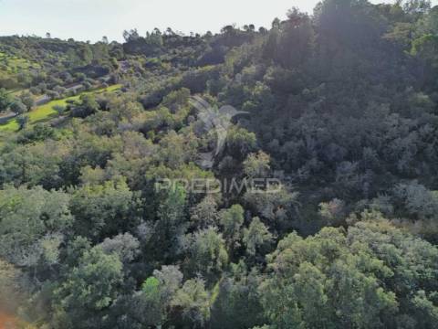 Terreno rústico de 9.680 m² em arneiro das milhariças