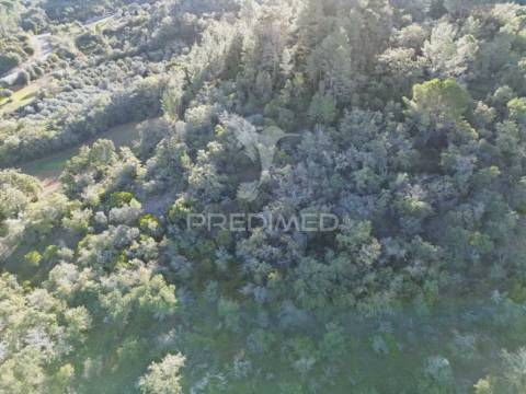 Terreno rústico de 9.680 m² em arneiro das milhariças