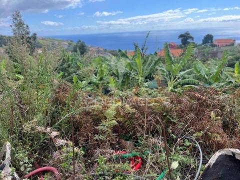 Terreno e palheiro nos canhas ponta do sol