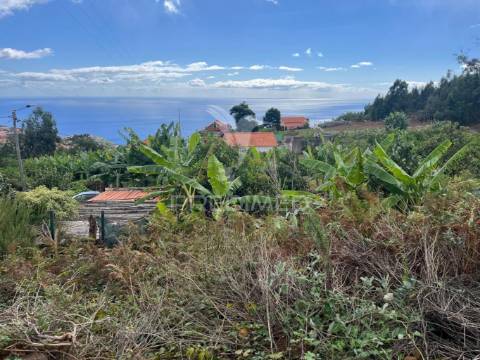 Terreno e palheiro nos canhas ponta do sol